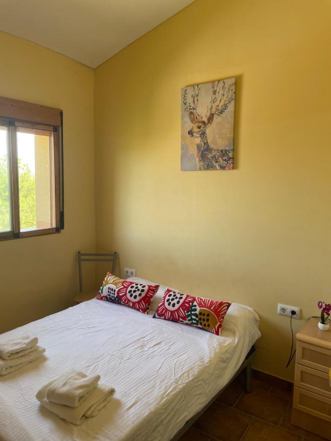Air Conditioned "Casa Tropicana" Entire Villa Or Individual Apartments Murcia Exteriör bild